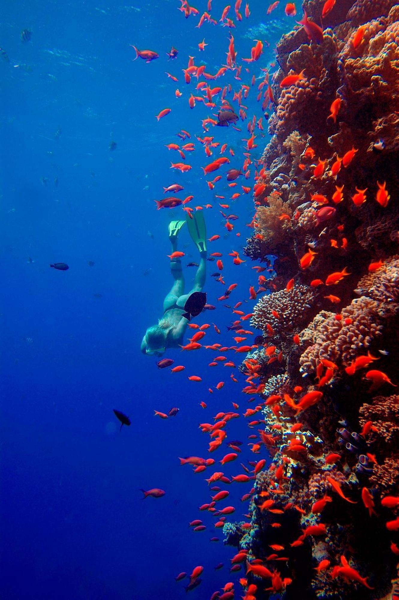 The Breakers Diving And Surfing Lodge Soma Bay Hurghada Exterior photo